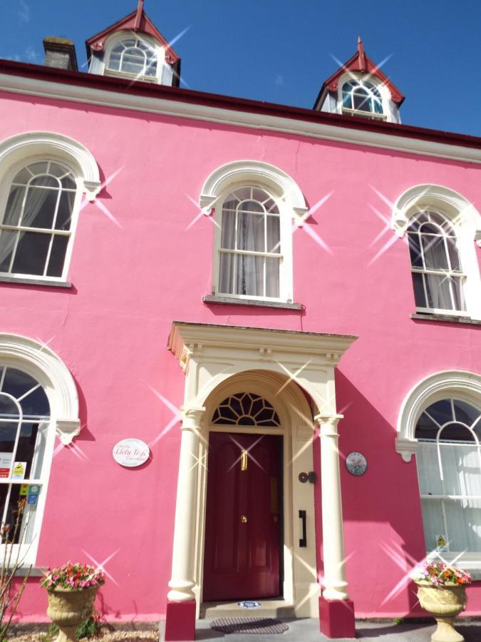 Llety Teifi Guesthouse Cardigan Esterno foto