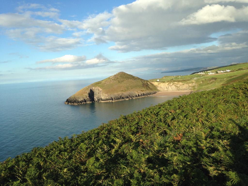 Llety Teifi Guesthouse Cardigan Esterno foto