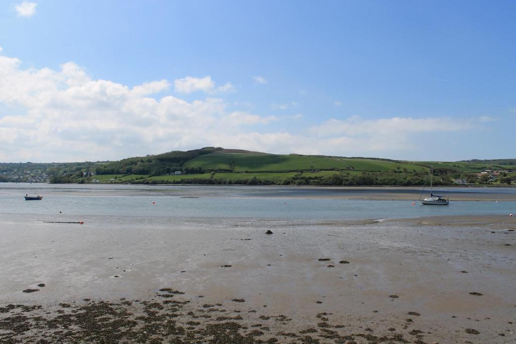 Llety Teifi Guesthouse Cardigan Esterno foto