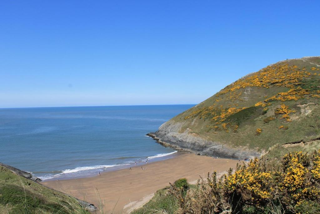 Llety Teifi Guesthouse Cardigan Esterno foto