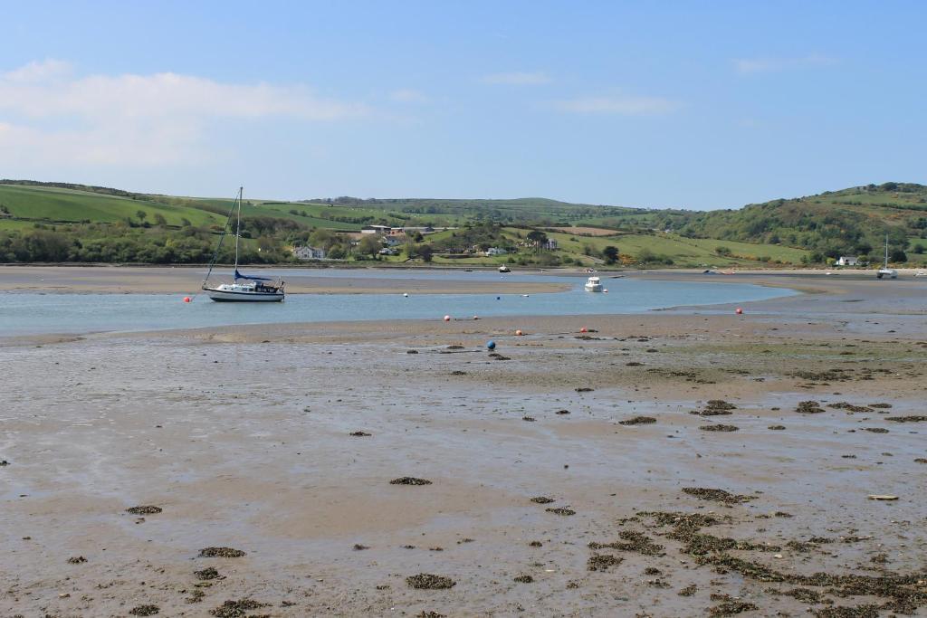 Llety Teifi Guesthouse Cardigan Esterno foto